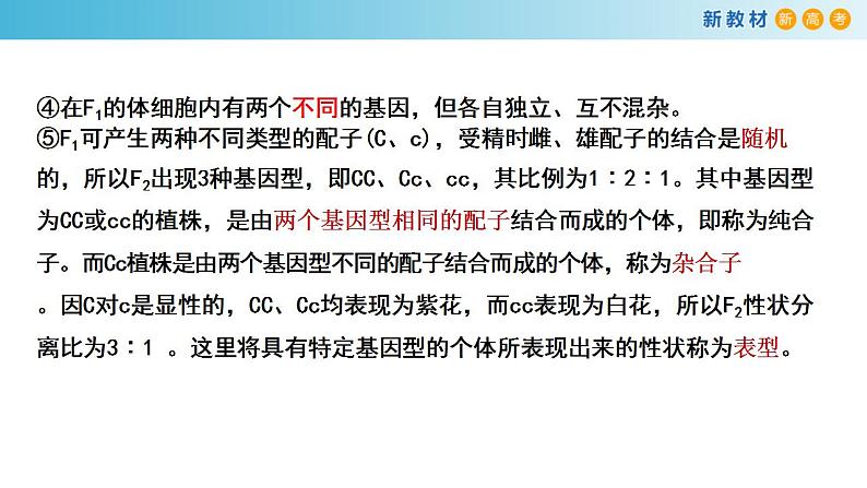 专题13 基因的分离定律-备战2023年高考生物一轮复习全考点精选课件（浙江新教材、新高考专用）第8页