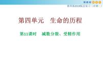 专题11 减数分裂、受精作用-备战2023年高考生物一轮复习全考点精选课件（浙江新教材、新高考专用）