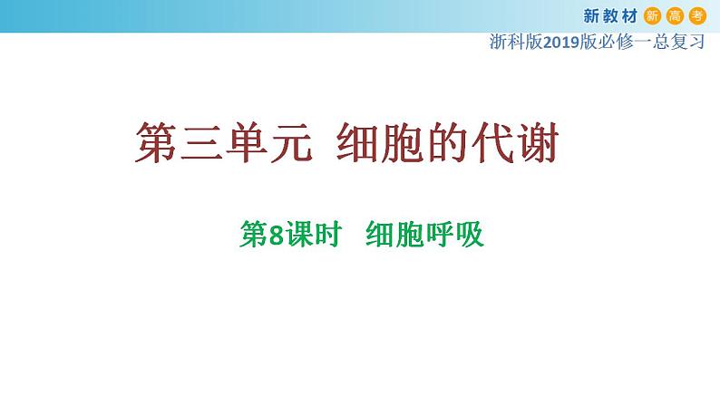 专题8 细胞呼吸-备战2023年高考生物一轮复习全考点精选课件（浙江新教材、新高考专用）第1页