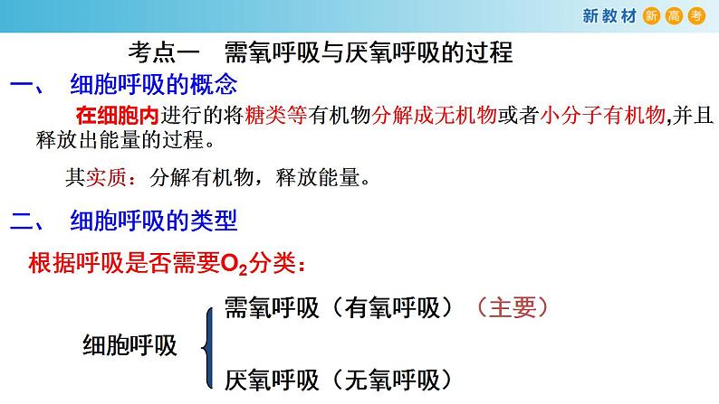 专题8 细胞呼吸-备战2023年高考生物一轮复习全考点精选课件（浙江新教材、新高考专用）第2页