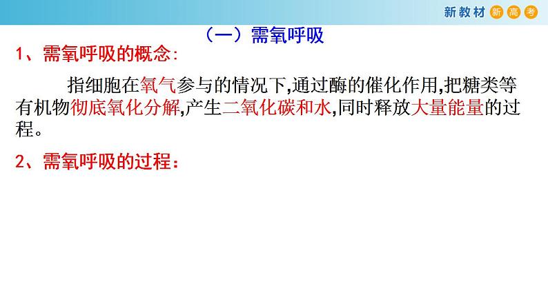 专题8 细胞呼吸-备战2023年高考生物一轮复习全考点精选课件（浙江新教材、新高考专用）第3页