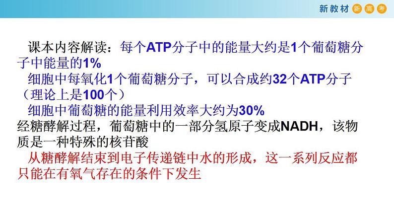 专题8 细胞呼吸-备战2023年高考生物一轮复习全考点精选课件（浙江新教材、新高考专用）第8页