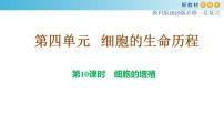 专题10 细胞通过分裂增殖-备战2023年高考生物一轮复习全考点精选课件（浙江新教材、新高考专用）