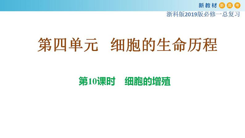 专题10 细胞通过分裂增殖-备战2023年高考生物一轮复习全考点精选课件（浙江新教材、新高考专用）第1页