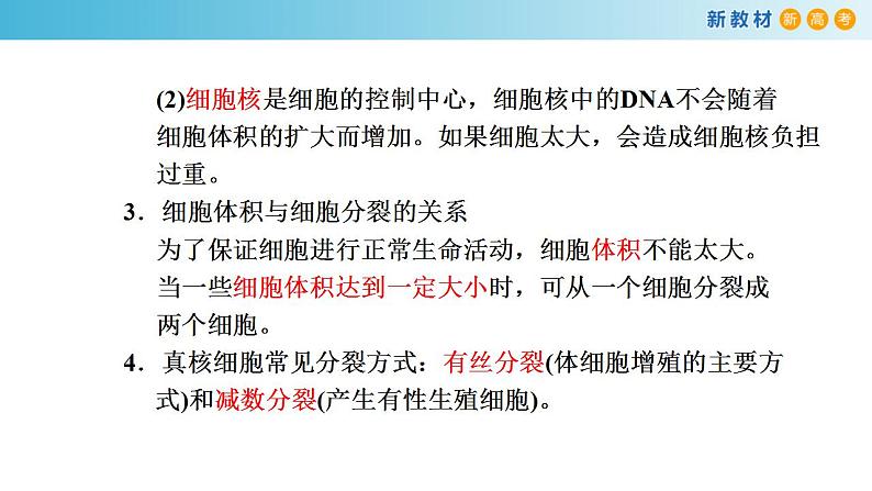 专题10 细胞通过分裂增殖-备战2023年高考生物一轮复习全考点精选课件（浙江新教材、新高考专用）第3页