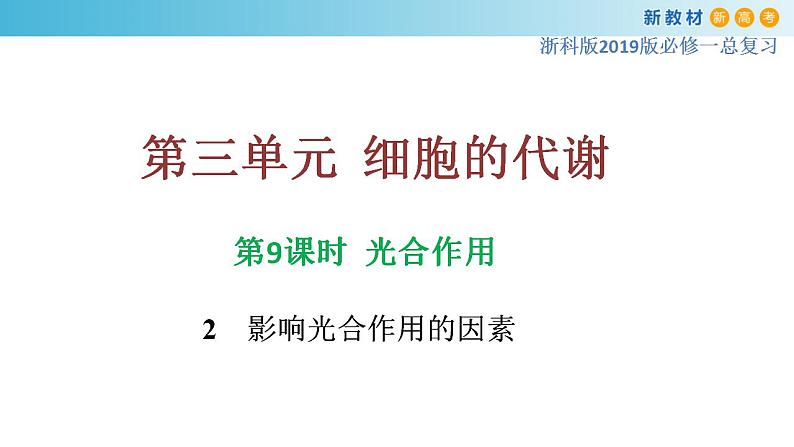 专题9 光合作用2-备战2023年高考生物一轮复习全考点精选课件（浙江新教材、新高考专用）第1页