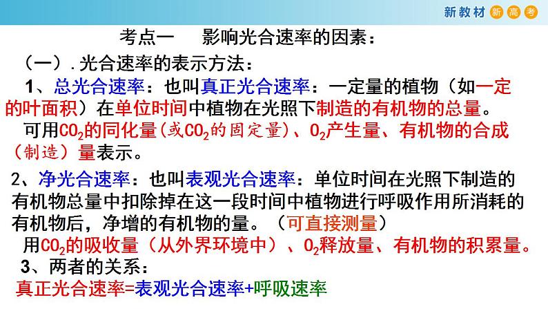 专题9 光合作用2-备战2023年高考生物一轮复习全考点精选课件（浙江新教材、新高考专用）第2页