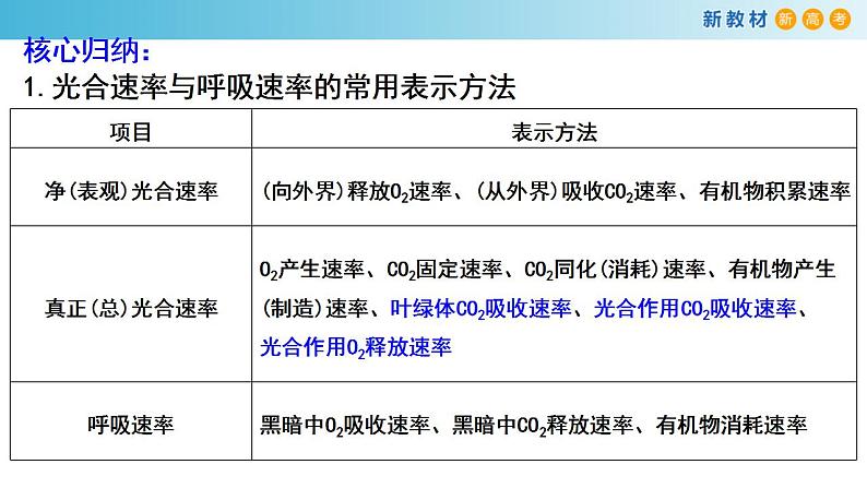 专题9 光合作用2-备战2023年高考生物一轮复习全考点精选课件（浙江新教材、新高考专用）第3页