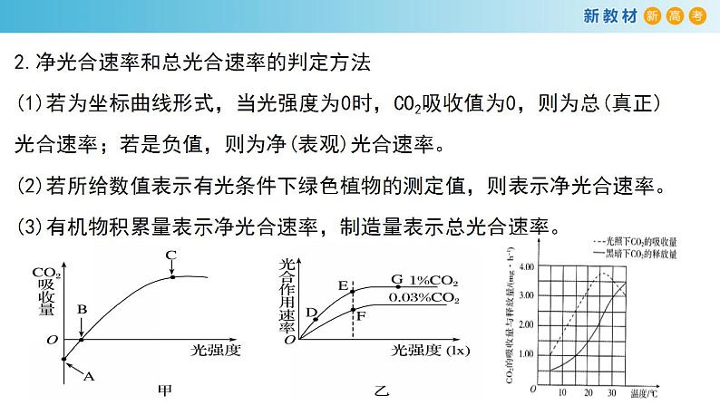 专题9 光合作用2-备战2023年高考生物一轮复习全考点精选课件（浙江新教材、新高考专用）第4页