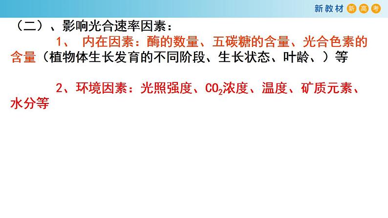 专题9 光合作用2-备战2023年高考生物一轮复习全考点精选课件（浙江新教材、新高考专用）第5页