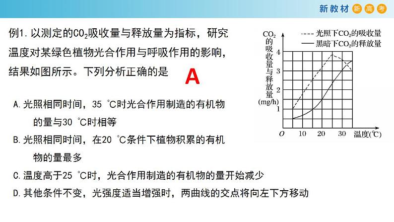 专题9 光合作用2-备战2023年高考生物一轮复习全考点精选课件（浙江新教材、新高考专用）第6页