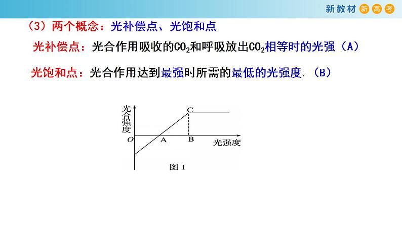 专题9 光合作用2-备战2023年高考生物一轮复习全考点精选课件（浙江新教材、新高考专用）第8页