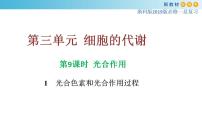 专题9 光合作用1-备战2023年高考生物一轮复习全考点精选课件（浙江新教材、新高考专用）