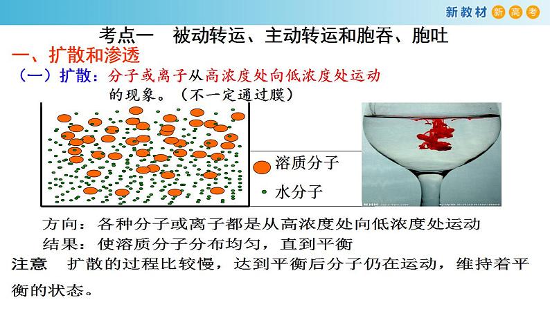 专题7 物质运输-备战2023年高考生物一轮复习全考点精选课件（浙江新教材、新高考专用）第2页