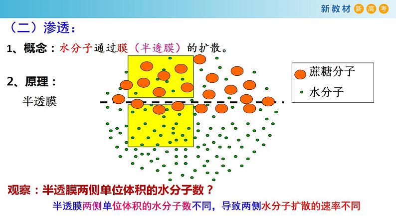 专题7 物质运输-备战2023年高考生物一轮复习全考点精选课件（浙江新教材、新高考专用）第3页