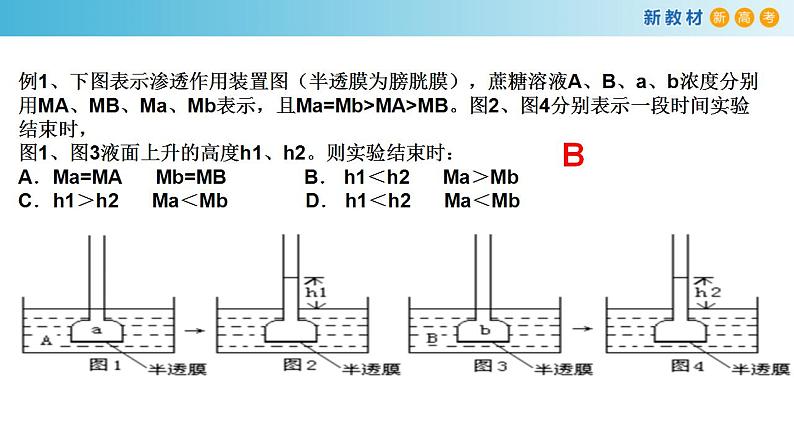 专题7 物质运输-备战2023年高考生物一轮复习全考点精选课件（浙江新教材、新高考专用）第6页