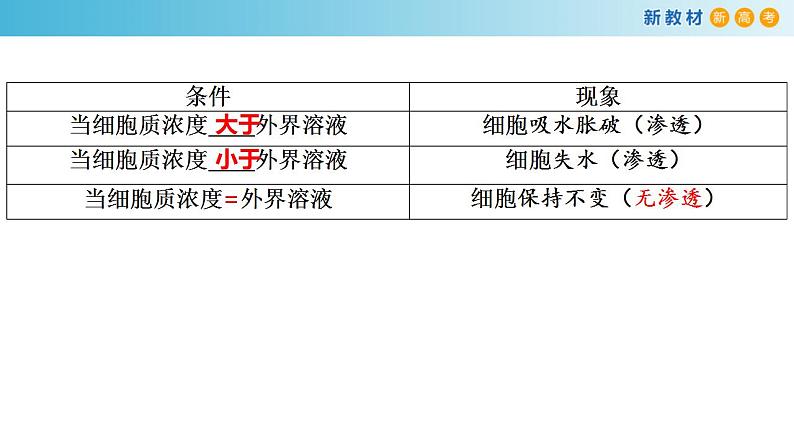 专题7 物质运输-备战2023年高考生物一轮复习全考点精选课件（浙江新教材、新高考专用）第8页