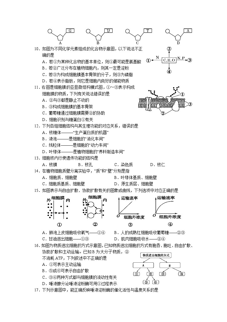 湖南省平江县第一中学2020-2021学年高一上学期1月阶段性检测生物试题第2页