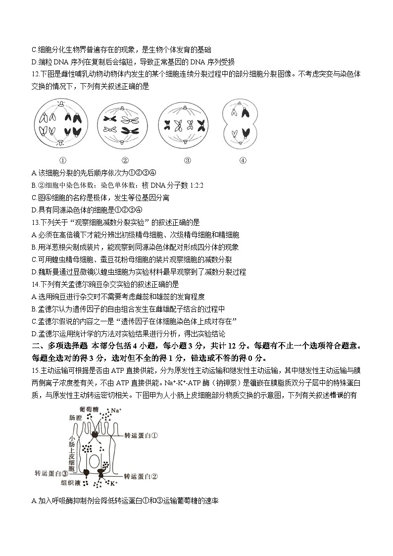 江苏省镇江市丹阳市2023-2024学年高三上学期开学考试生物试题及答案第3页