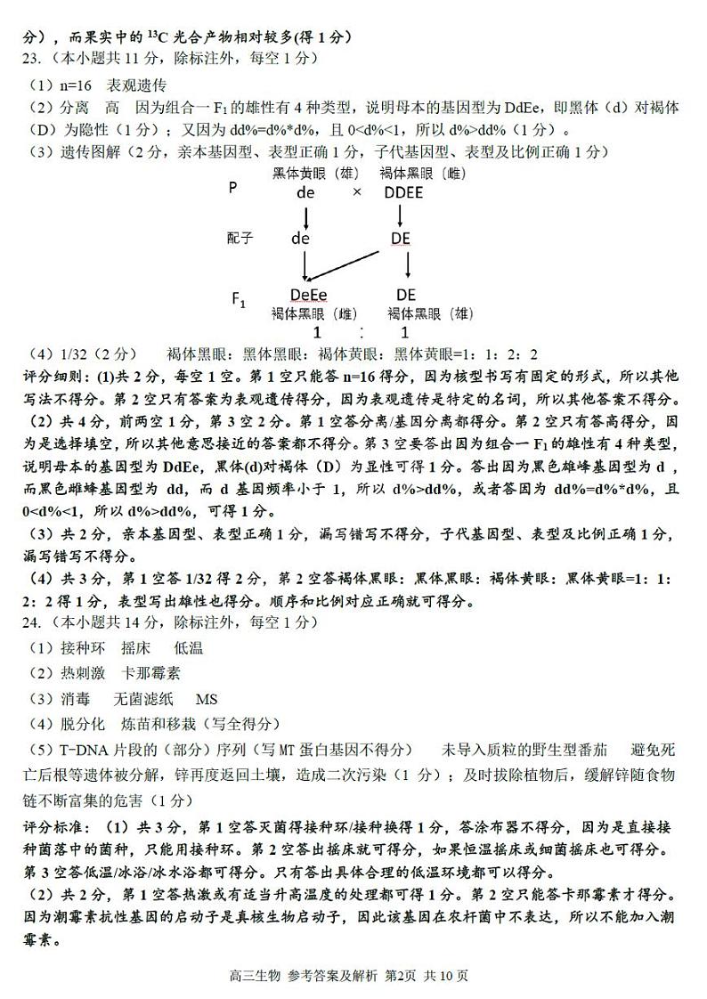 2024浙江省七彩阳光新高考研究联盟高三上学期返校联考生物试题PDF版含答案02