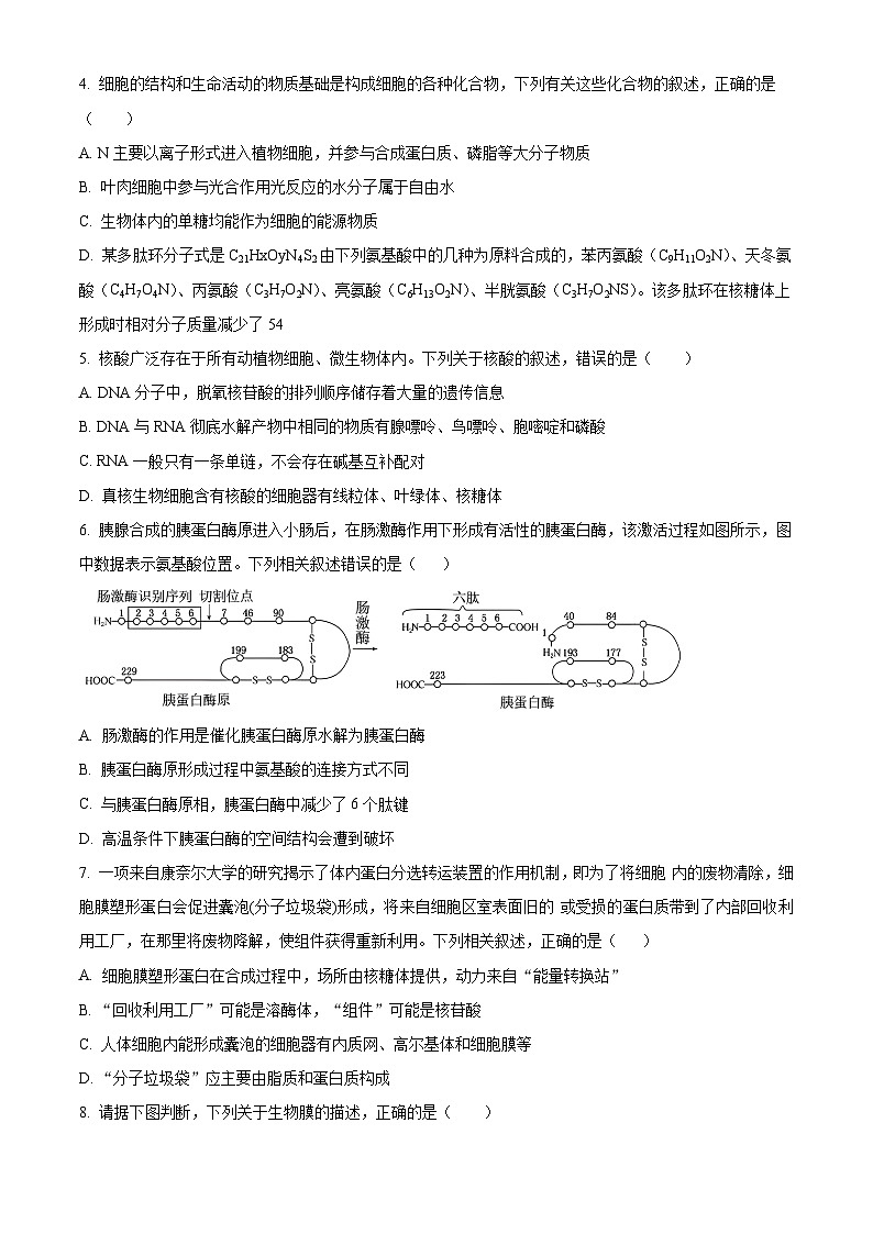 四川省成都市石室中学2023-2024学年高三上学期开学生物试题（原卷版）第2页