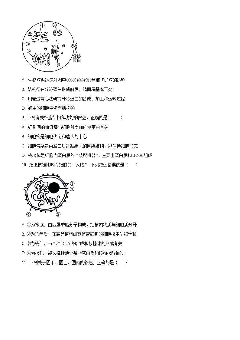 四川省成都市石室中学2023-2024学年高三上学期开学生物试题（原卷版）第3页