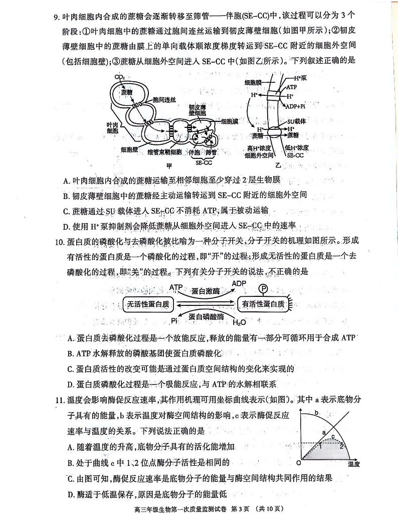 2024呼和浩特高三上学期第一次质量监测生物PDF版含答案03