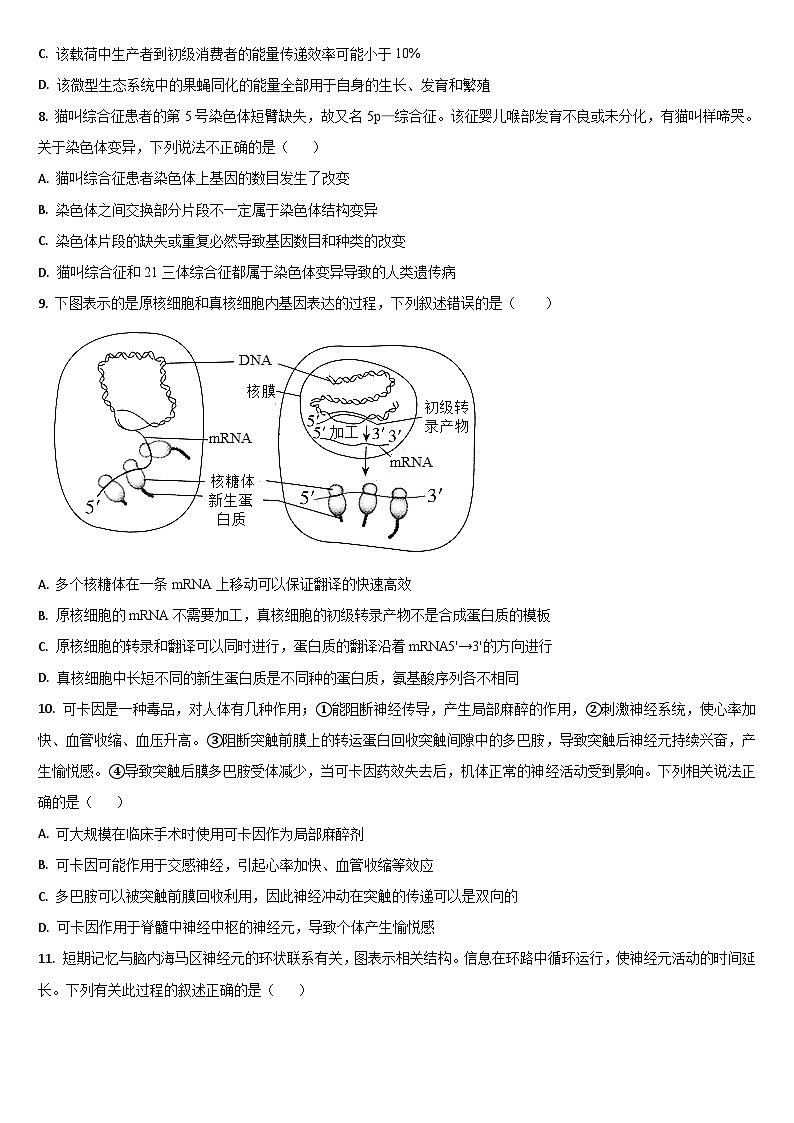 2024梅河口五中高三上学期开学考试生物试题含答案第3页