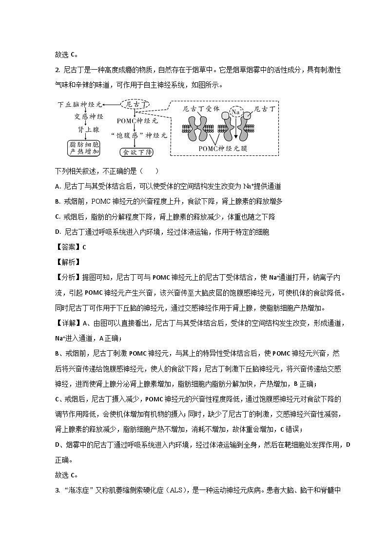 2023枣庄三中高二上学期期中生物试题含解析02