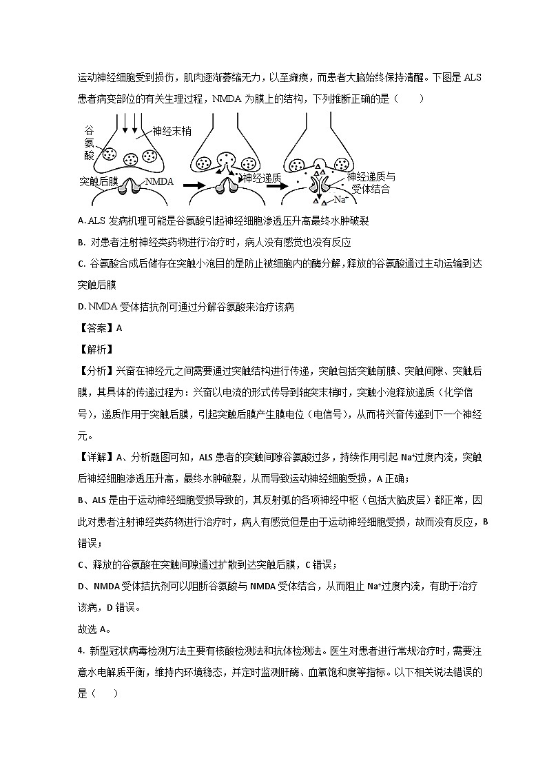 2023枣庄三中高二上学期期中生物试题含解析03
