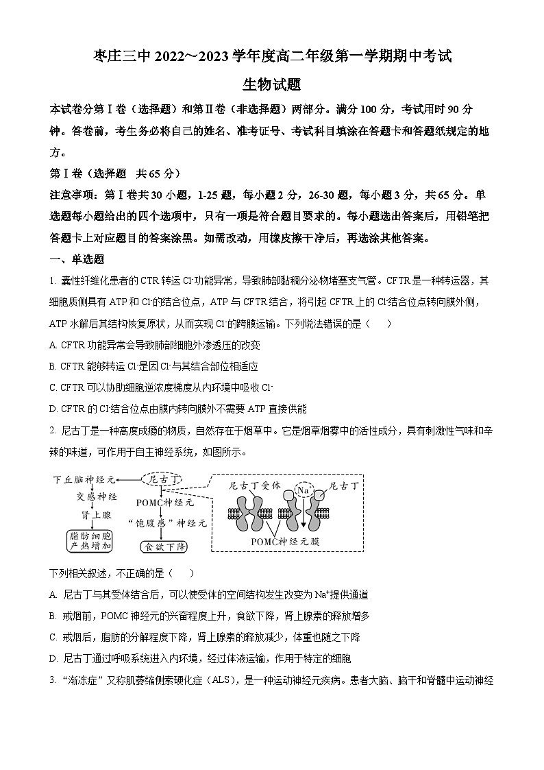 2023枣庄三中高二上学期期中生物试题含解析01