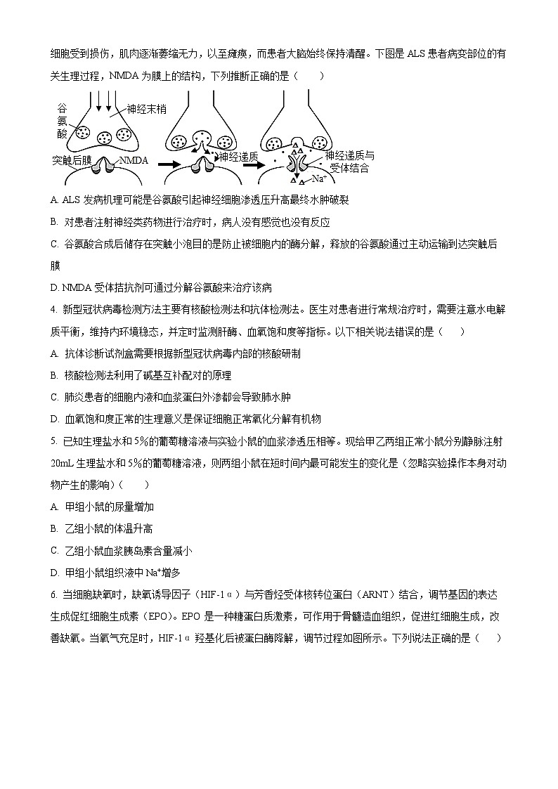 2023枣庄三中高二上学期期中生物试题含解析02