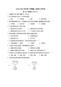 四川省乐山市沫若中学2023-2024学年高二上学期开学考试生物试题