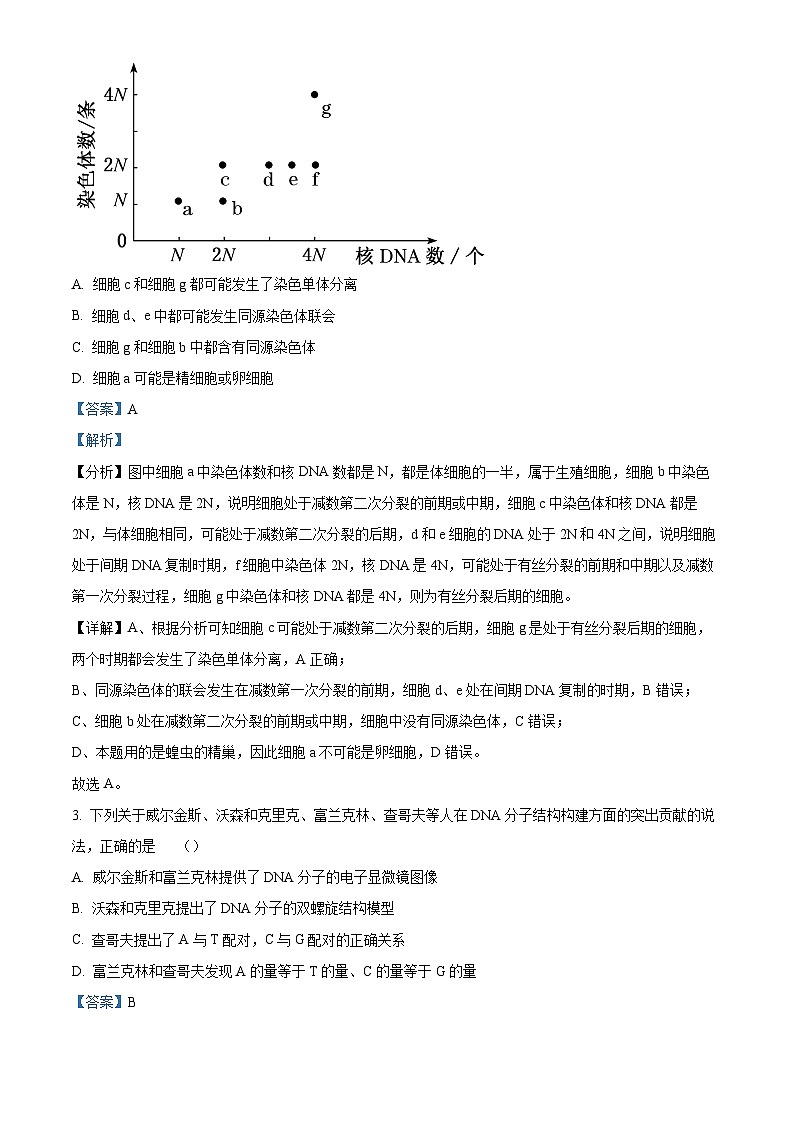 吉林省梅河口市第五中学2023-2024学年高二生物上学期开学考试试题（Word版附解析）第2页