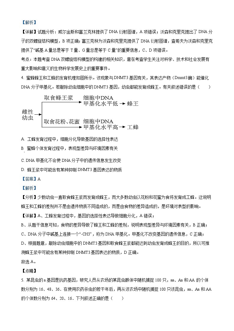 吉林省梅河口市第五中学2023-2024学年高二生物上学期开学考试试题（Word版附解析）第3页