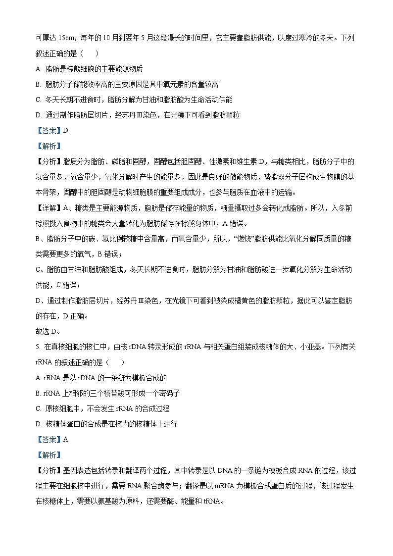浙江省七彩阳光新高考研究联盟2023-2024学年高三生物上学期开学联考试题（Word版附解析）第3页