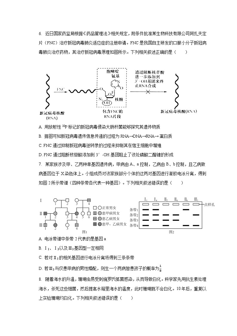 2022-2023学年河北省邯郸市部分学校高三（下）开学生物试卷（含解析）第3页