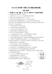 2024南京六校联合体高三上学期8月调研试题生物PDF版含答案