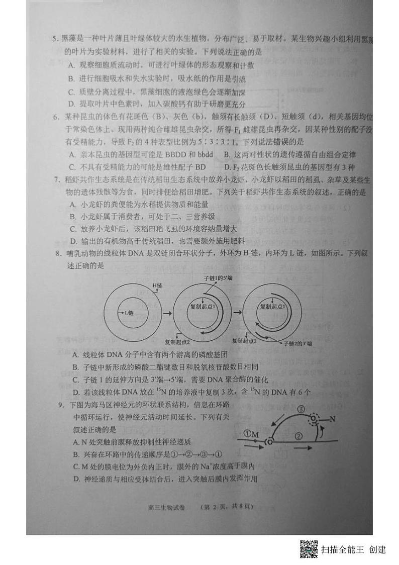 江苏省南通市如东县2023-2024学年高三上学期开学生物试题第2页
