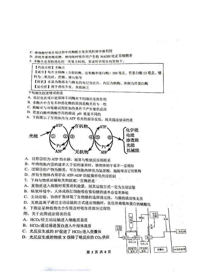 辽宁省沈阳市东北育才学校高中部2023—2024学年高三上学期第一次模拟考试生物试题第2页