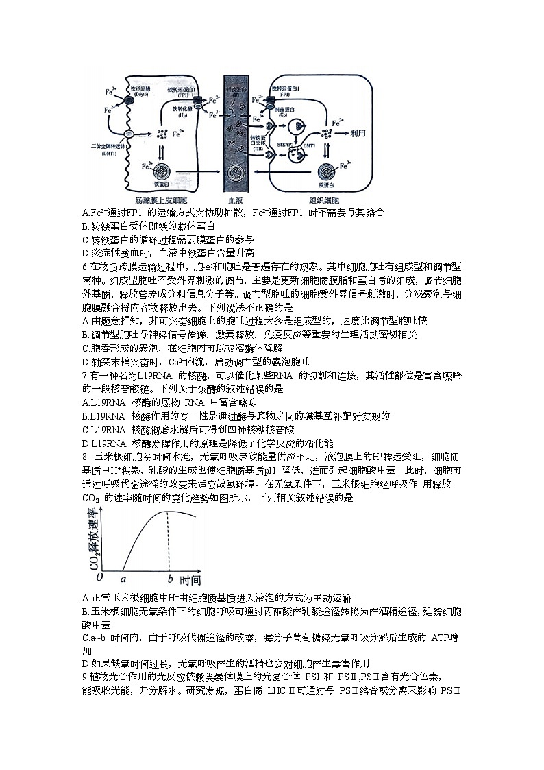 山东省新高考联合质量测评2023-2024学年高三上学期开学联考生物试题02