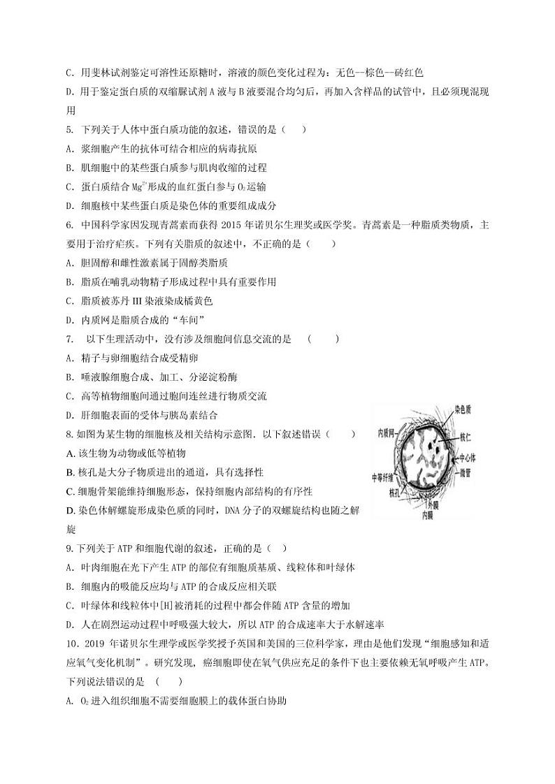 2021届甘肃省天水市甘谷县高三上学期第四次检测生物试题 PDF版第2页