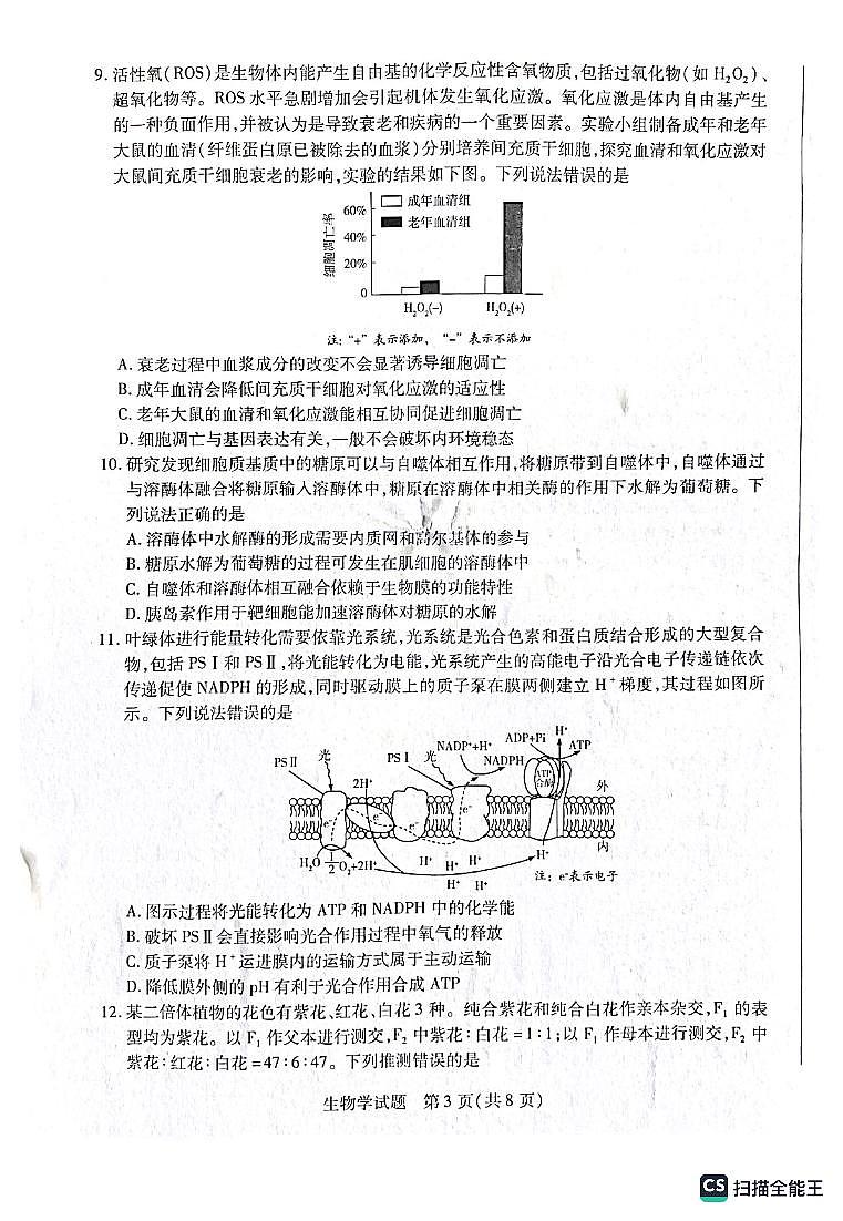 河南省安阳市2023-2024学年高三上学期第一次调研考试生物试题03