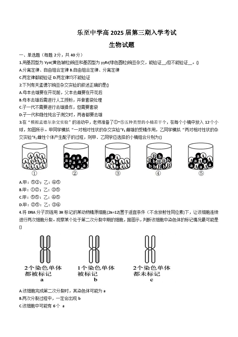 四川省资阳市乐至中学2023-2024学年高二上学期开学考试生物试题01