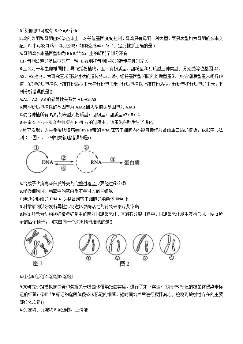 四川省资阳市乐至中学2023-2024学年高二上学期开学考试生物试题02