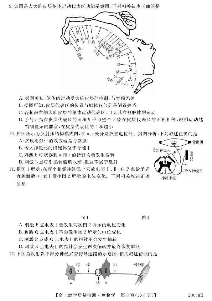 _生物｜河南省豫北名校2024届高二上学期9月教学质量检测备考生物试卷及答案03