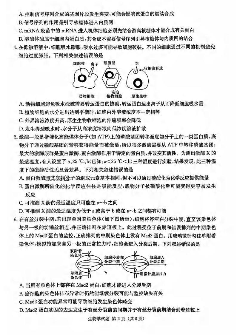 _生物｜湖南省炎德英才大联考2024届高三上学期第一次质量检测生物试卷及答案02
