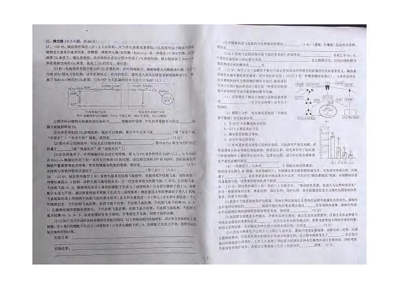 _生物｜江西省九校联盟2024届高三上学期8月联考生物试卷及答案03