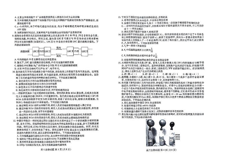 2024山东省新高考联合质量测评高三上学期开学联考生物PDF版含答案02