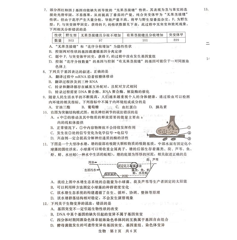 2024河北省新时代NT教育高三入学摸底考试生物PDF版含解析02